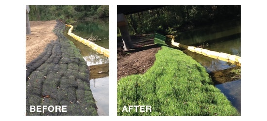 1654817256668-filtrexx