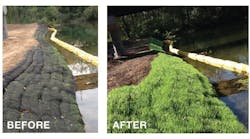 1654817256668-filtrexx 1654817256668-filtrexx