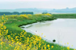 1655233138819 289 1655233138819 289