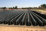 1655233139071 Img4295copy