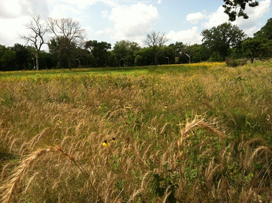 1655248641197 Photo2 550