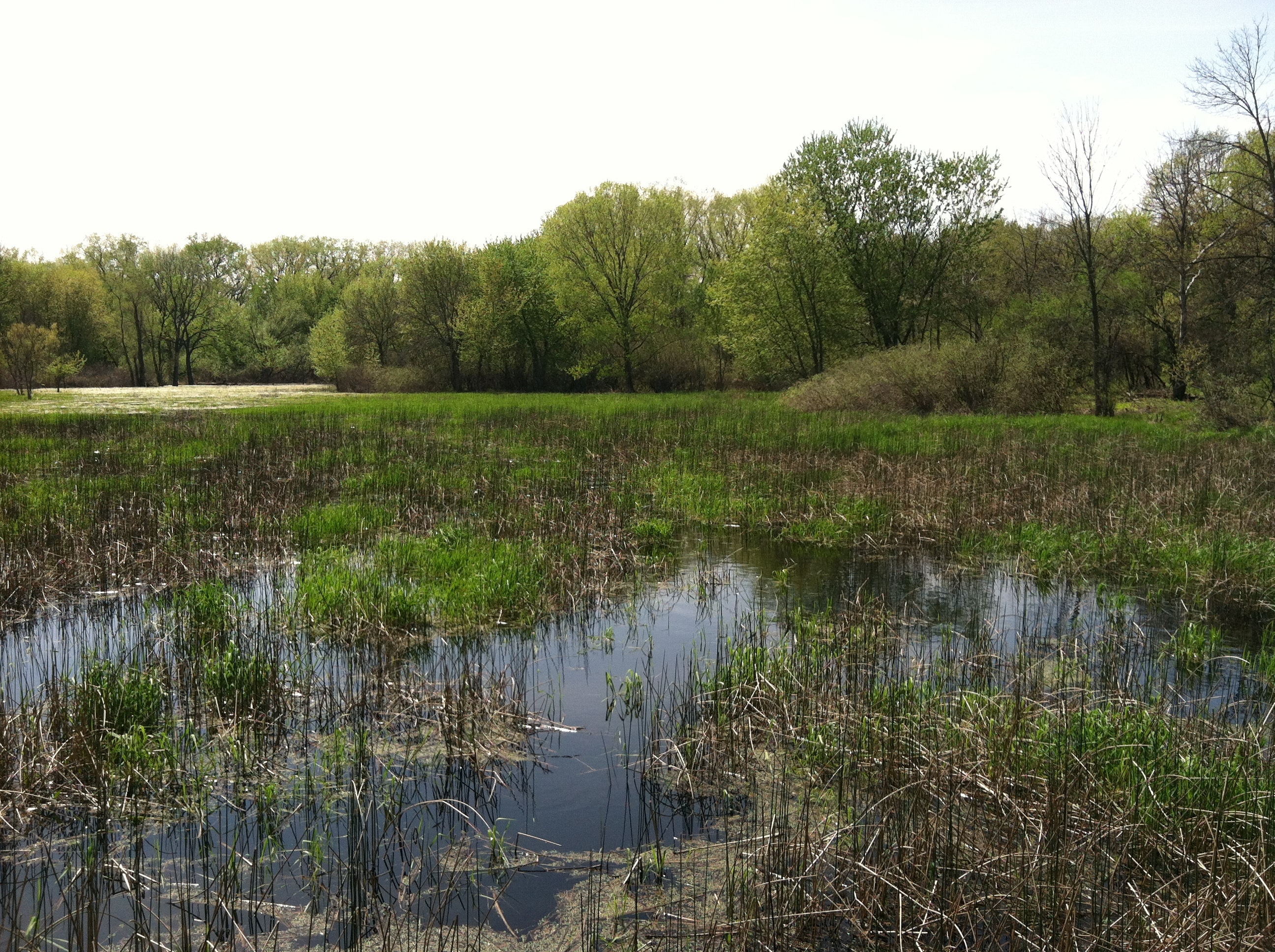 1655248641715 Image3 0