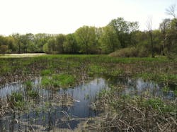 1655248641715 Image3 0 1655248641715 Image3 0