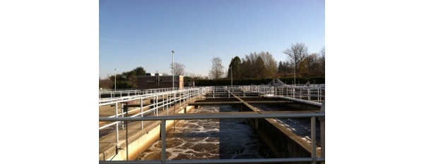 1655248647808 Plant 2 Edited