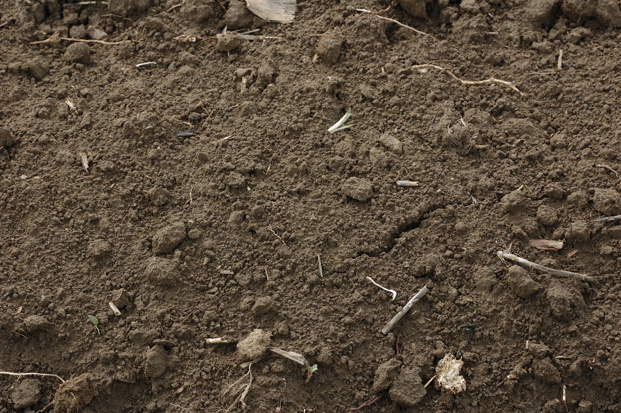 1655248648884 Soil11667941279x850