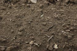 1655248648884 Soil11667941279x850 1655248648884 Soil11667941279x850