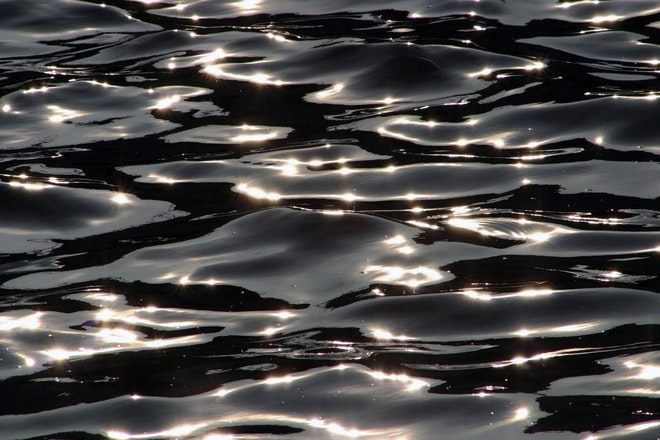 1655248649898 Sea1489887