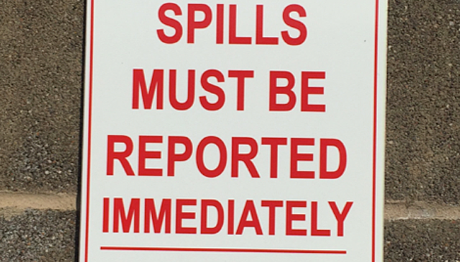 1655248650233 Untitled Copy