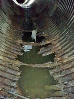 1655254046340 Imagejpeg 2 21 1655254046340 Imagejpeg 2 21