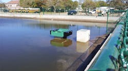 1655254061820-thirsty_duck_cs_bradenton_fl 1655254061820-thirsty_duck_cs_bradenton_fl