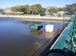 1655254061820 Thirsty Duck Cs Bradenton Fl 1655254061820 Thirsty Duck Cs Bradenton Fl