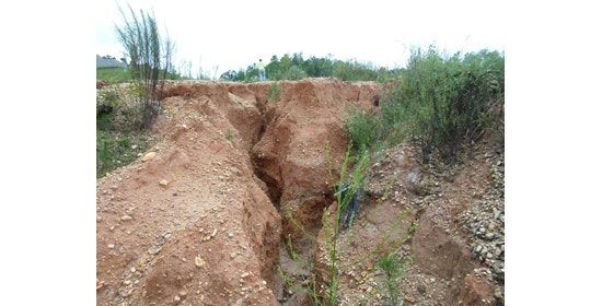 1655254068336 Profile Cs Al 1