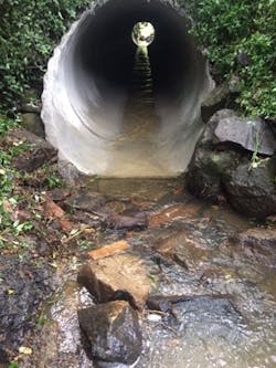 1655254078058 Milliken Cs Auckland Nz 1655254078058 Milliken Cs Auckland Nz