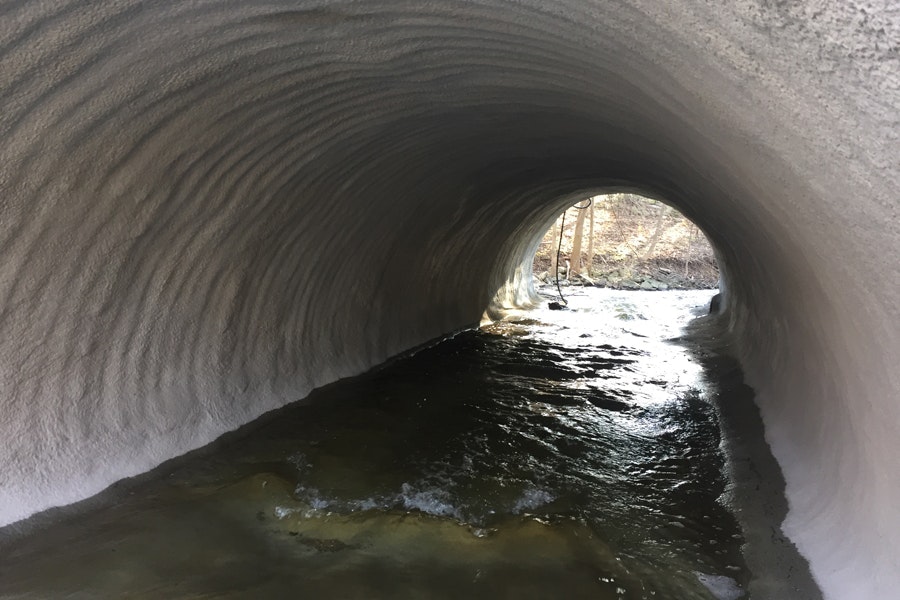 1655254092602 Millikenpiperehab1022119