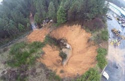 1655254093504 Little Wolf 1 20190201135953453 Compressed 1655254093504 Little Wolf 1 20190201135953453 Compressed