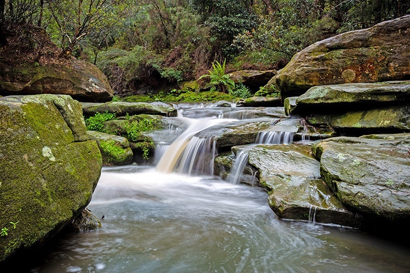 1655254104681-onsetstreamhabitat800