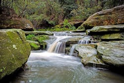 1655254104681 Onsetstreamhabitat800 1655254104681 Onsetstreamhabitat800