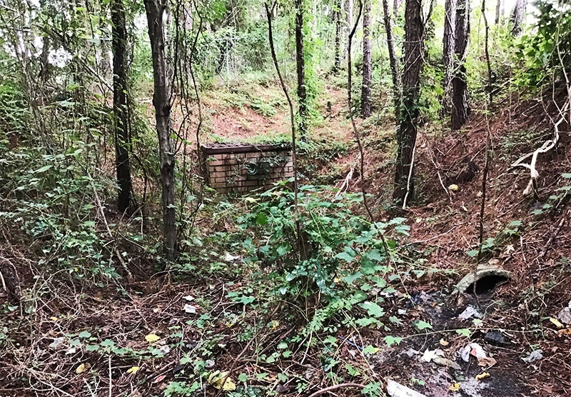 1655254105809-augusta_before800w