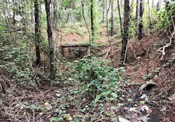 1655254105809 Augusta Before800w 1655254105809 Augusta Before800w