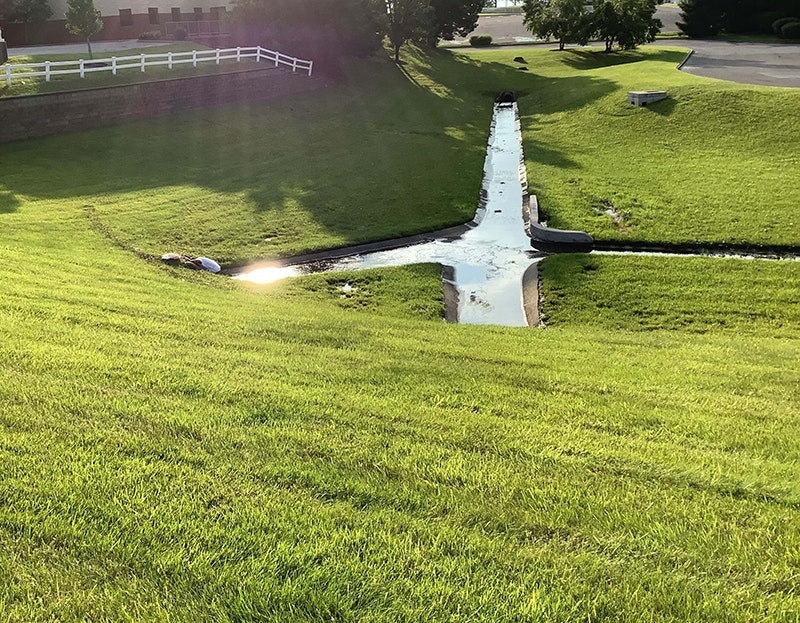 1655254107008-casestudyflorenc