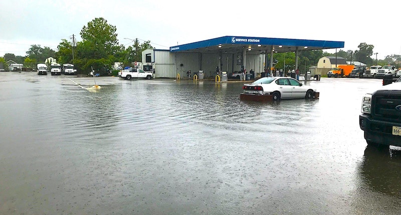 1655254113998-photo1