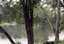 1655259595753 2136 1655259595753 2136