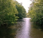 1655259597233 1364gc Red Cedar River