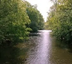 1655259597233 1364gc Red Cedar River 1655259597233 1364gc Red Cedar River