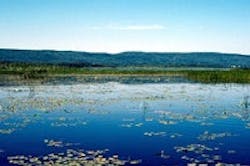 1655259599192 St 1655259599192 St