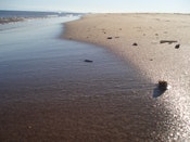 1655259602892 Beach3