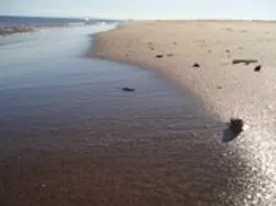 1655259602892 Beach3 1655259602892 Beach3