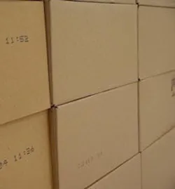 1655259606496 Boxes1 1655259606496 Boxes1