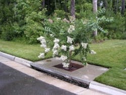 1655259607639 Filter 1655259607639 Filter