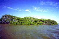 1655259608051 Matlacha2