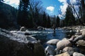 1655259612744 Colorado