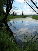 1655259612896 Meadow Lake