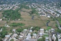 1655259612972 Bluebelt 1655259612972 Bluebelt