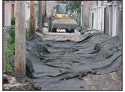 1655259614604 48thunsuitablesoilstone