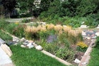 1655259615486 Raingarden04