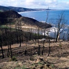 1655259617318 Chimney