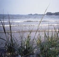 1655259617529 P39 1655259617529 P39