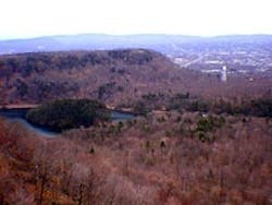 1655259620584 Fig110 1655259620584 Fig110