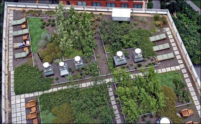 1655259621483 Green Roof Flickr