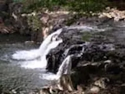 1655259623173 Nuuanu Waterfall Calm 1655259623173 Nuuanu Waterfall Calm