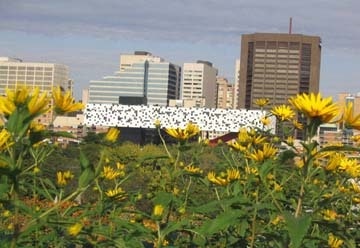 1655259625085 Greenroof1 L