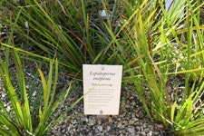 1655259631419 200606c1