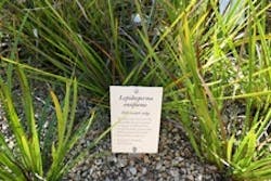 1655259631419 200606c1 1655259631419 200606c1