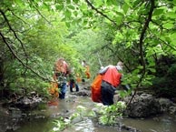 1655259631499 Stream Cleanup