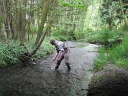 1655259633907 Littlebear King1 1655259633907 Littlebear King1