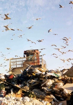 1655259634966 Landfill Large1
